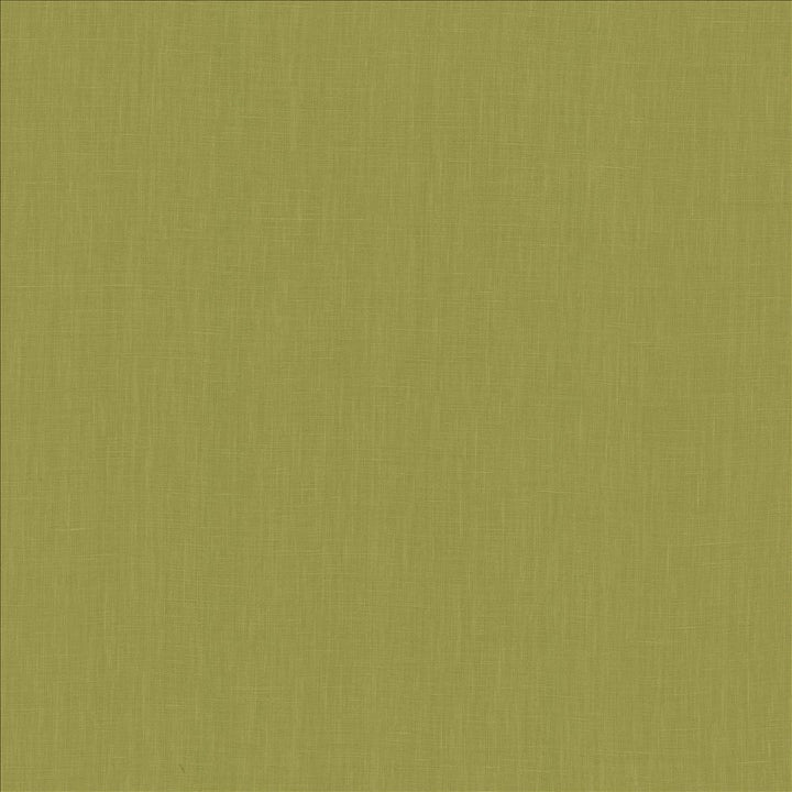 Belgique Fern by Kasmir Fabric 5176 100% Linen
 CHINA 12,000 Martindale Cycles </p><p>Repeat: Horizontal: N/A and Vertical: N/A 55 - Fabric Carolina -