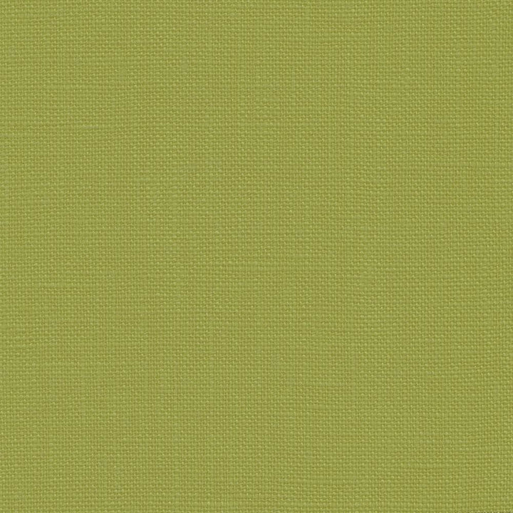 Belgique Fern by Kasmir Fabric 1408 100% Linen
 CHINA 12,000 Martindale Cycles Horizontal: N/A and Vertical: N/A 55 - Fabric Carolina -