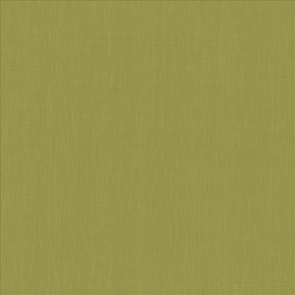 Belgique Fern by Kasmir Fabric 5103 100% Linen
 CHINA 12,000 Martindale Cycles </p><p>Repeat: Horizontal: N/A and Vertical: N/A 55 - Fabric Carolina -