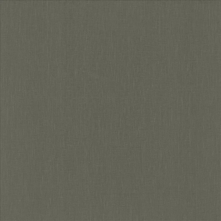 Belgique Graphite by Kasmir Fabric 5176 100% Linen
 CHINA </p><p>Repeat: Horizontal: N/A and Vertical: N/A 55 - 57 - Fabric Carolina -