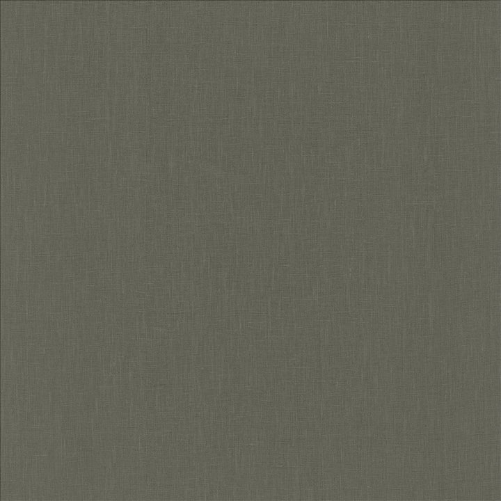 Belgique Graphite by Kasmir Fabric 5176 100% Linen
 CHINA 12,000 Martindale Cycles </p><p>Repeat: Horizontal: N/A and Vertical: N/A 55 - Fabric Carolina -