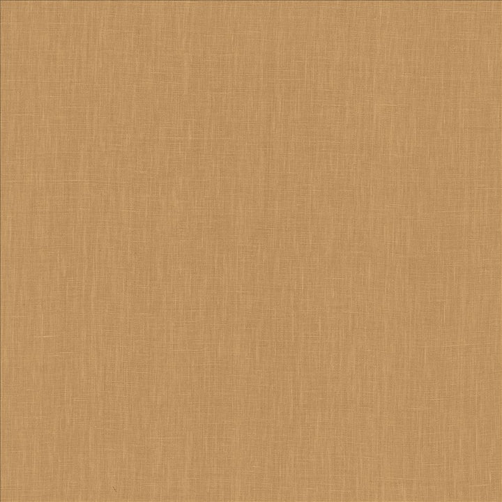 Belgique Hazelnut by Kasmir Fabric 1408 100% Linen
 CHINA 12,000 Martindale Cycles </p><p>Repeat: Horizontal: N/A and Vertical: N/A 55 - Fabric Carolina -