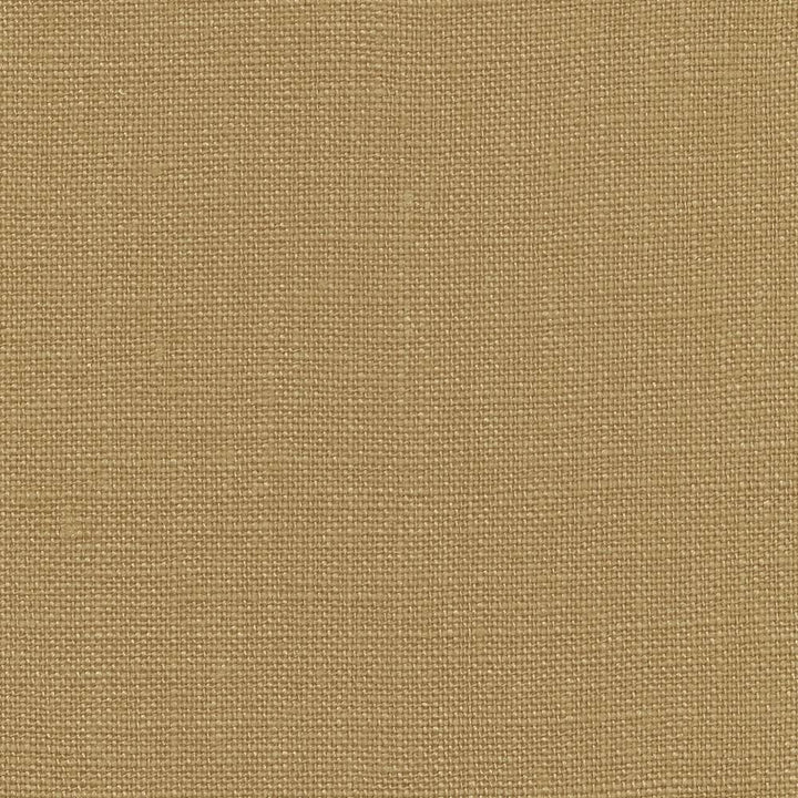 Belgique Hazelnut by Kasmir Fabric 1408 100% Linen CHINA 12,000 Martindale Cycles Horizontal: 0 Inches and Vertical: 0 Inches 55 - 57 - Fabric Carolina -