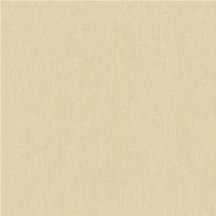 Belgique Ivory by Kasmir Fabric 5103 100% Linen
 CHINA 12,000 Martindale Cycles </p><p>Repeat: Horizontal: N/A and Vertical: N/A 55 - Fabric Carolina -