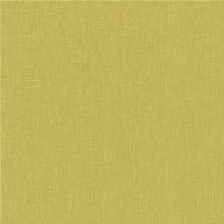 Belgique Lime by Kasmir Fabric 1408 100% Linen
 CHINA 12,000 Martindale Cycles </p><p>Repeat: Horizontal: N/A and Vertical: N/A 55 - Fabric Carolina -