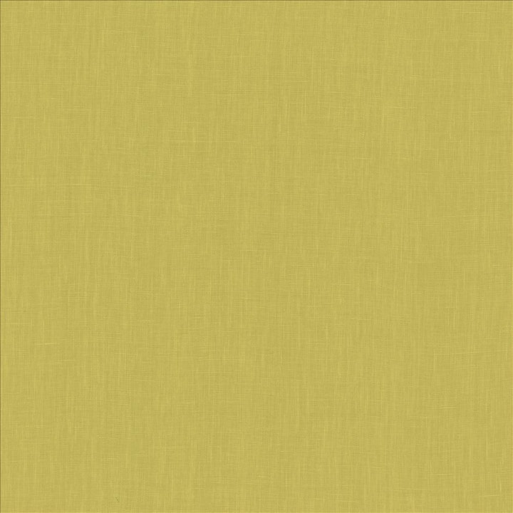 Belgique Lime by Kasmir Fabric 1408 100% Linen
 CHINA </p><p>Repeat: Horizontal: N/A and Vertical: N/A 55 - 57 - Fabric Carolina -