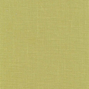 Belgique Lime by Kasmir Fabric