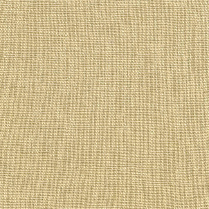 Belgique Linen by Kasmir Fabric 1408 100% Linen CHINA 12,000 Martindale Cycles H: N/A, V:N/A 55 - 57 - Fabric Carolina - Kasmir