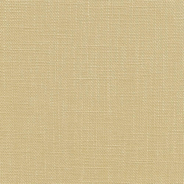 Belgique Linen by Kasmir Fabric 5103 100% Linen CHINA 12,000 Martindale Cycles Horizontal: 0 Inches and Vertical: 0 Inches 55 - 57 - Fabric Carolina -