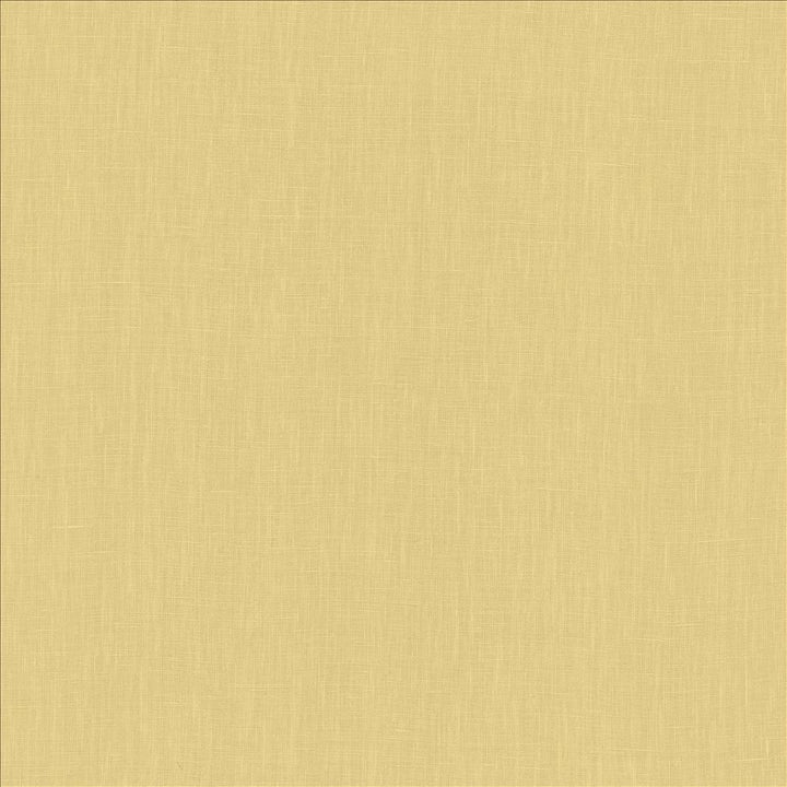 Belgique Moss by Kasmir Fabric 1408 100% Linen
 CHINA 12,000 Martindale Cycles </p><p>Repeat: Horizontal: N/A and Vertical: N/A 55 - Fabric Carolina -
