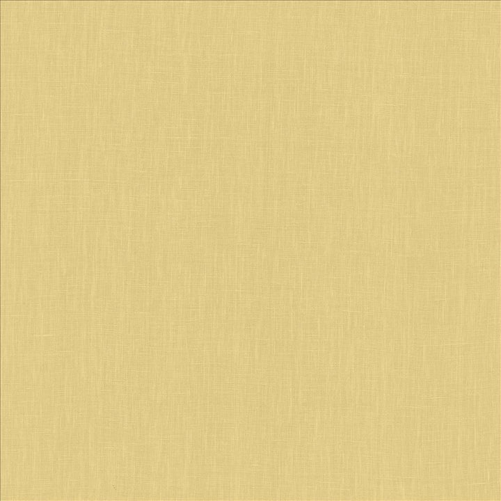 Belgique Moss by Kasmir Fabric 1408 100% Linen
 CHINA </p><p>Repeat: Horizontal: N/A and Vertical: N/A 55 - 57 - Fabric Carolina -