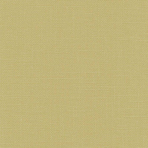Belgique Moss by Kasmir Fabric