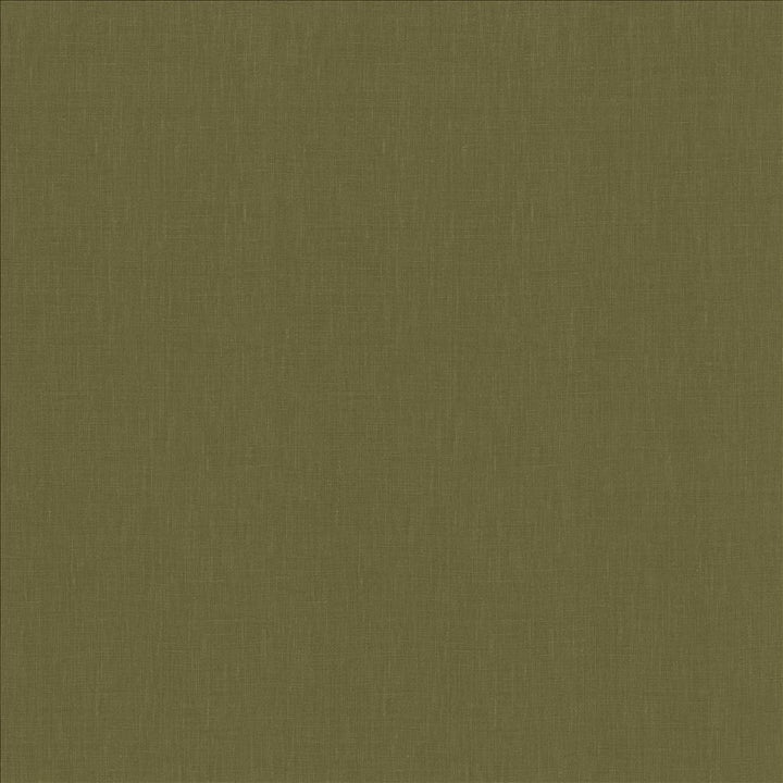 Belgique Olive by Kasmir Fabric 1408 100% Linen
 CHINA </p><p>Repeat: Horizontal: N/A and Vertical: N/A 55 - 57 - Fabric Carolina -