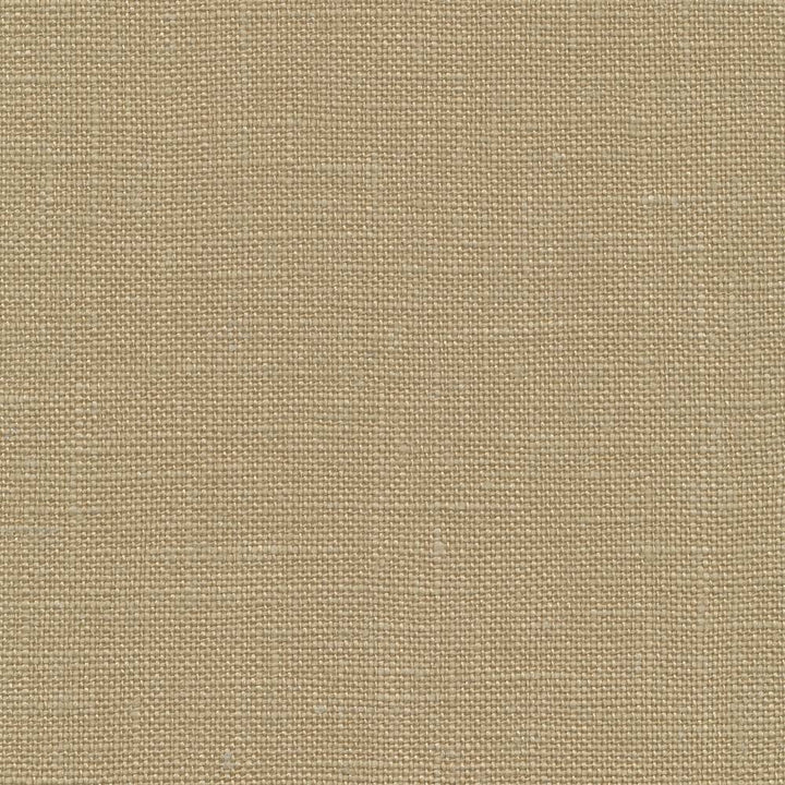 Belgique Prairie by Kasmir Fabric 1408 100% Linen CHINA 12,000 Martindale Cycles H: N/A, V:N/A 55 - 57 - Fabric Carolina - Kasmir