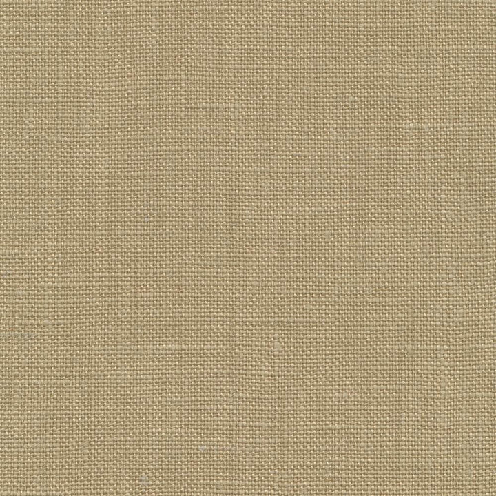 Belgique Prairie by Kasmir Fabric 1408 100% Linen CHINA 12,000 Martindale Cycles Horizontal: 0 Inches and Vertical: 0 Inches 55 - 57 - Fabric Carolina -