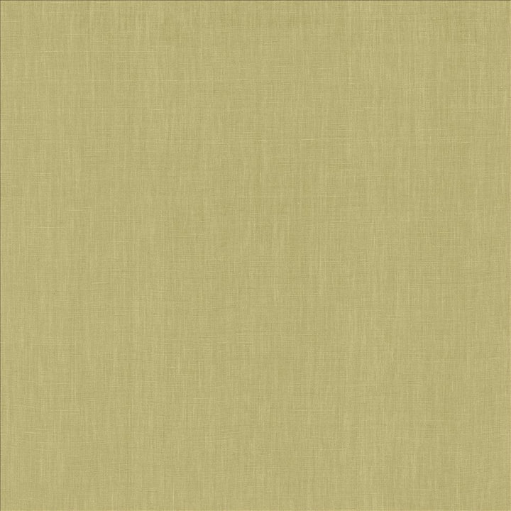 Belgique Sage by Kasmir Fabric 1408 100% Linen
 CHINA 12,000 Martindale Cycles </p><p>Repeat: Horizontal: N/A and Vertical: N/A 55 - Fabric Carolina -