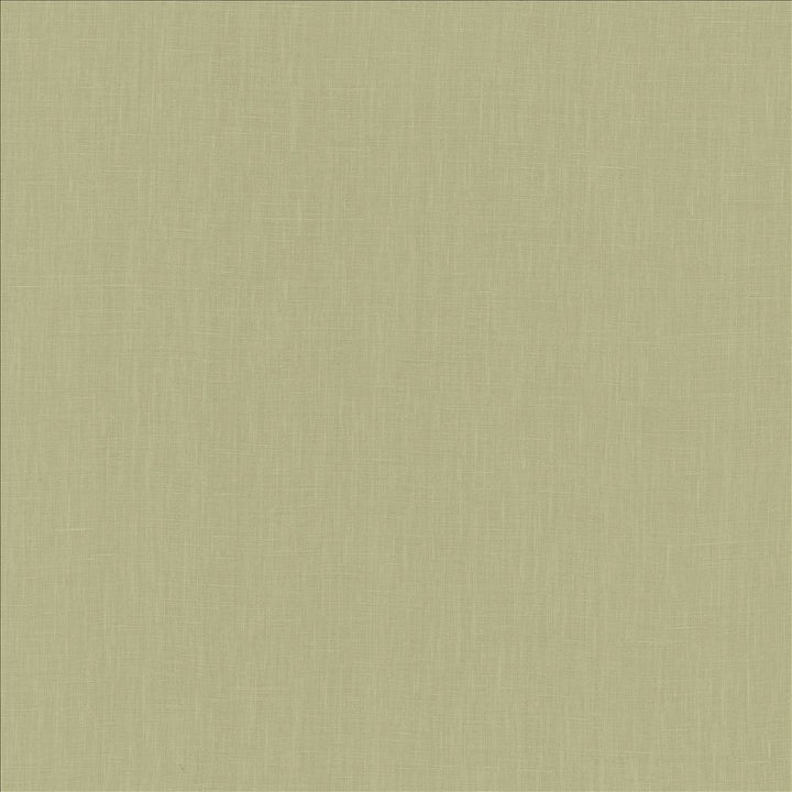 Belgique Sea Green by Kasmir Fabric 1408 100% Linen
 CHINA 12,000 Martindale Cycles </p><p>Repeat: Horizontal: N/A and Vertical: N/A 55 - Fabric Carolina -