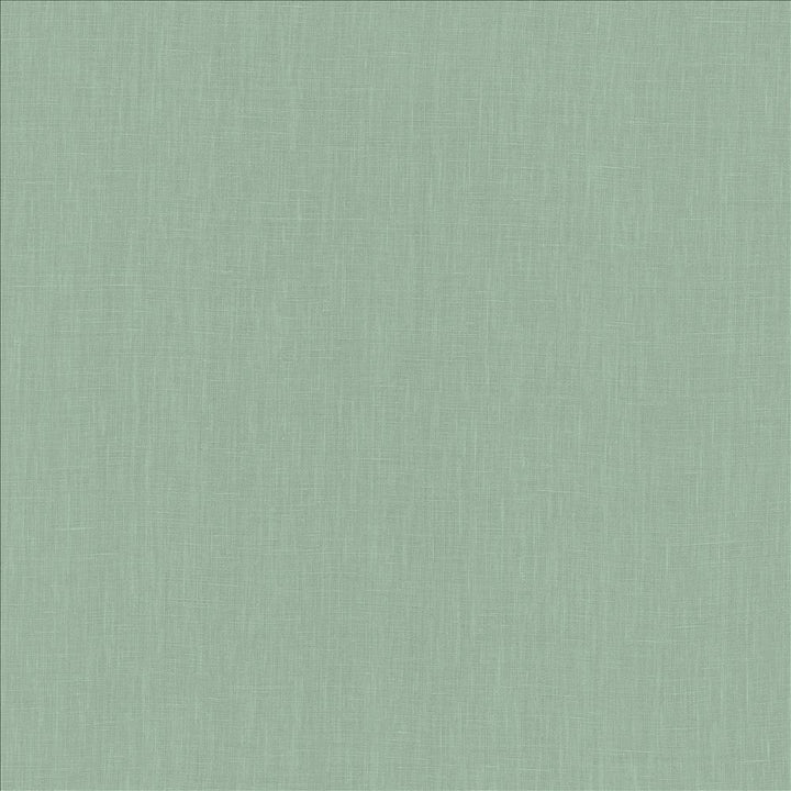 Belgique Seafoam by Kasmir Fabric 1408 100% Linen
 CHINA 12,000 Martindale Cycles </p><p>Repeat: Horizontal: N/A and Vertical: N/A 55 - Fabric Carolina -