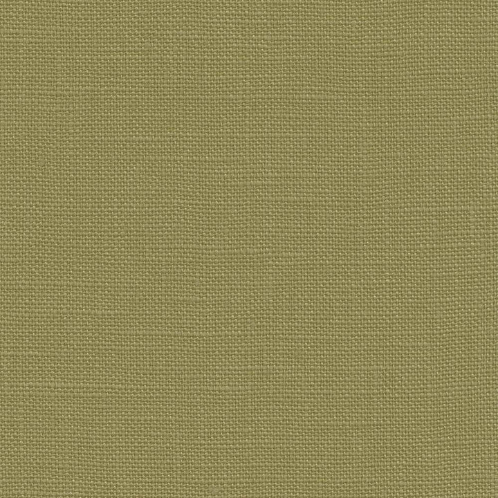 Belgique Seaweed by Kasmir Fabric 5103 100% Linen CHINA 12,000 Martindale Cycles Horizontal: 0 Inches and Vertical: 0 Inches 55 - 57 - Fabric Carolina -