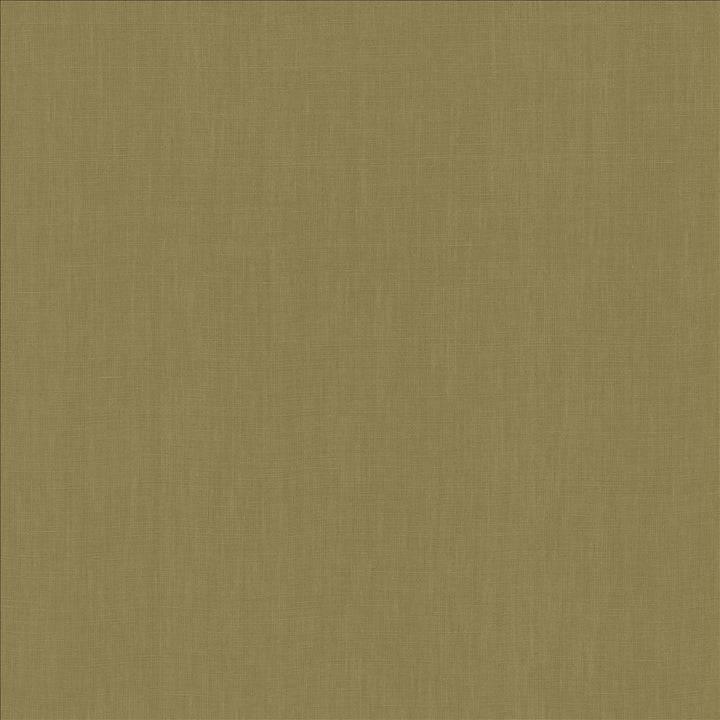 Belgique Seaweed by Kasmir Fabric 1408 100% Linen
 CHINA 12,000 Martindale Cycles </p><p>Repeat: Horizontal: N/A and Vertical: N/A 55 - Fabric Carolina -