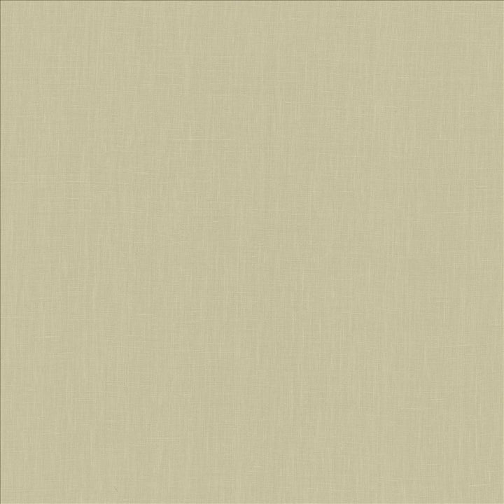 Belgique Silver Sage by Kasmir Fabric 5103 100% Linen
 CHINA 12,000 Martindale Cycles </p><p>Repeat: Horizontal: N/A and Vertical: N/A 55 - Fabric Carolina -