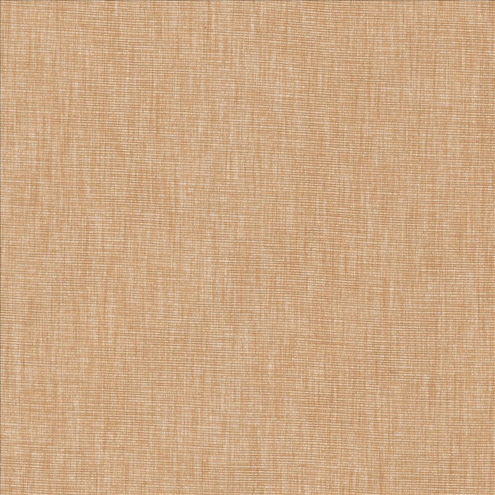 Beltran Ash Rose by Kasmir Fabric 5163 100% Polyester
 INDIA </p><p>Repeat: Horizontal: N/A and Vertical: N/A 54 - Fabric Carolina -