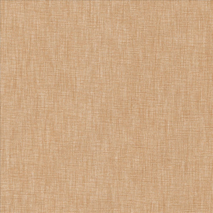 Beltran Ash Rose by Kasmir Fabric 5163 100% Polyester
 INDIA </p><p>Repeat: Horizontal: N/A and Vertical: N/A 54 - Fabric Carolina -