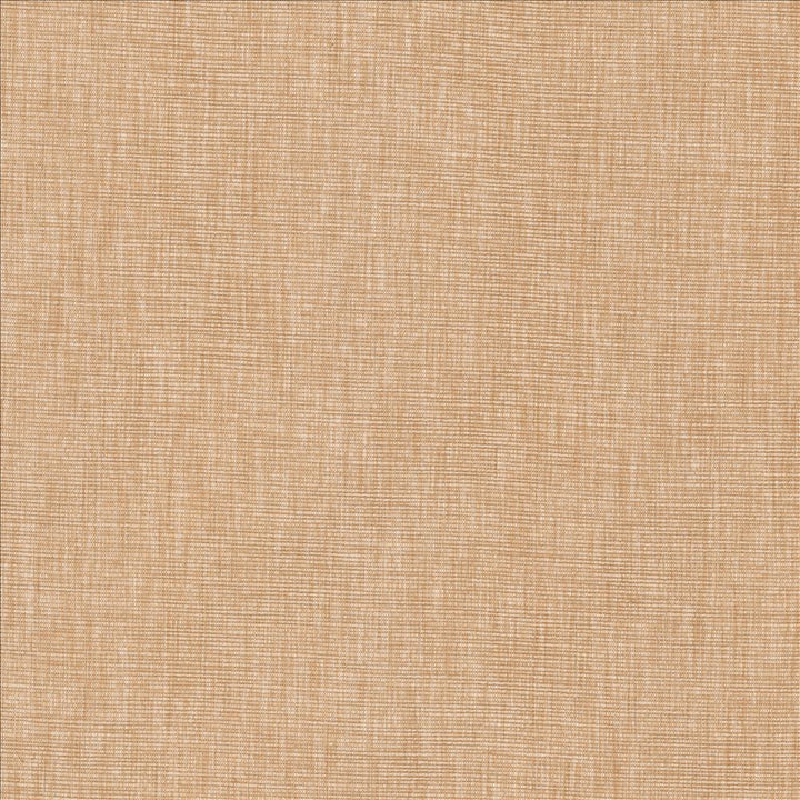 Beltran Ash Rose by Kasmir Fabric 5163 100% Polyester
 INDIA 20,000 Wyzenbeek Double Rubs </p><p>Repeat: Horizontal: N/A and Vertical: N/A 54 - Fabric Carolina -