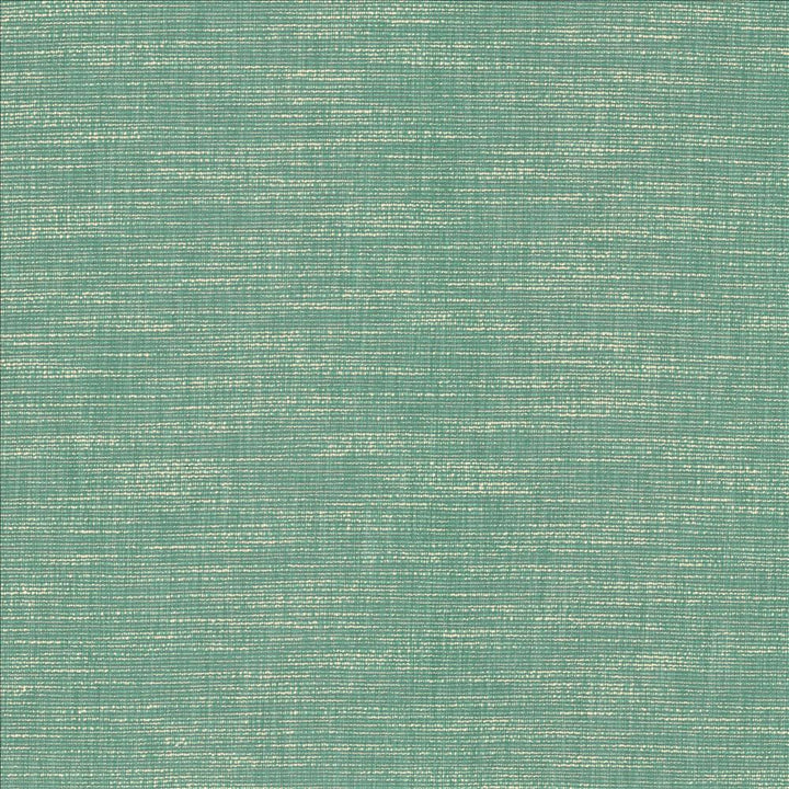 Beltran Bahamas  by Kasmir Fabric See sample 100% Polyester
 INDIA 20,000 Wyzenbeek Double Rubs </p><p>Repeat: Horizontal: N/A and Vertical: N/A 54  - Fabric Carolina -