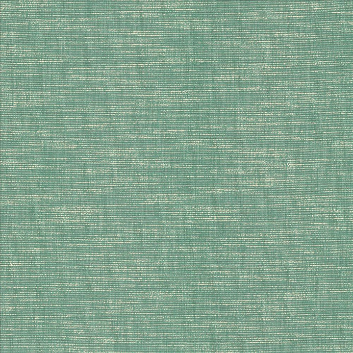 Beltran Bahamas by Kasmir Fabric 5163 100% Polyester
 INDIA 20,000 Wyzenbeek Double Rubs </p><p>Repeat: Horizontal: N/A and Vertical: N/A 54 - Fabric Carolina -