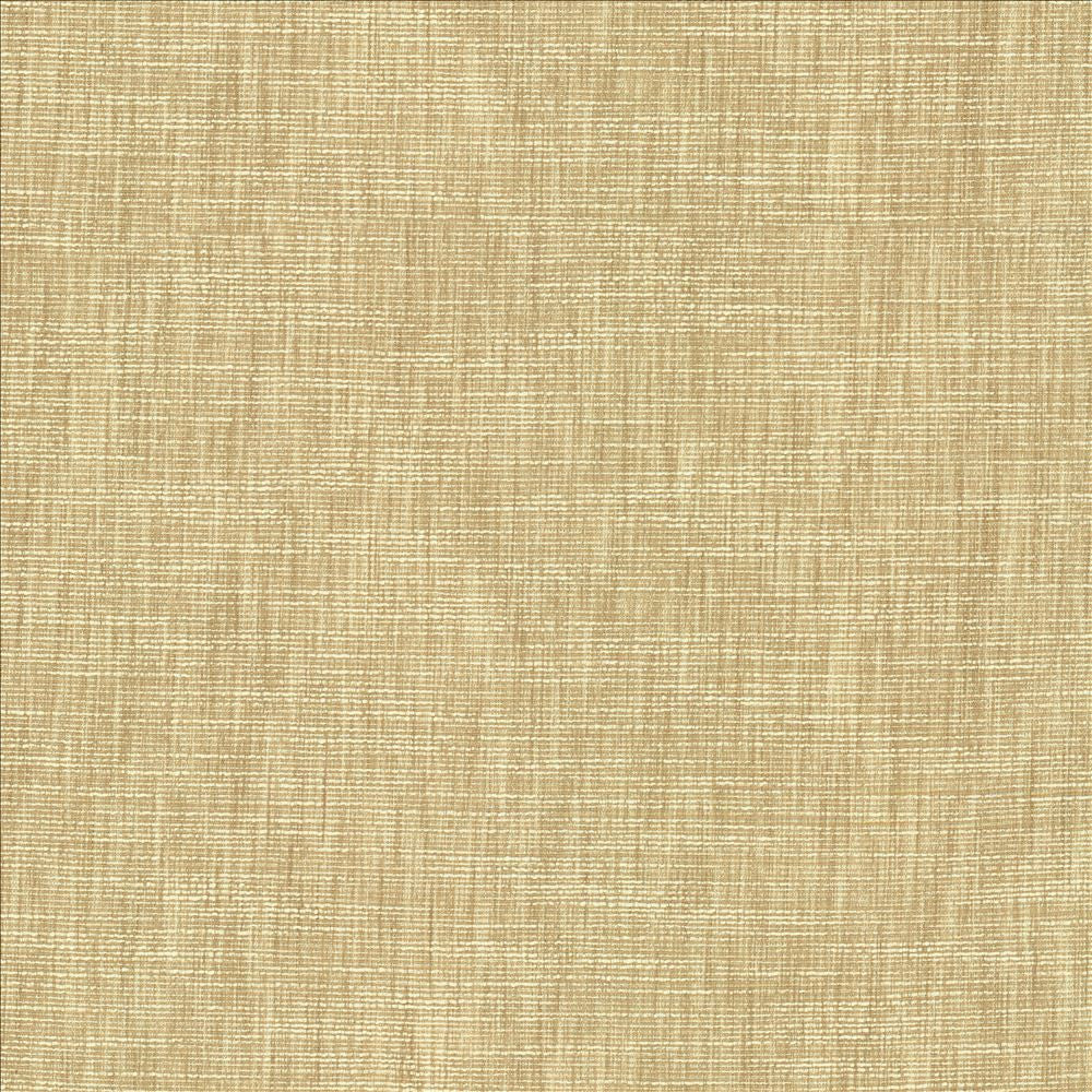 Beltran Bisque by Kasmir Fabric 5163 100% Polyester
 INDIA 20,000 Wyzenbeek Double Rubs Horizontal: N/A and Vertical: N/A 54 - Fabric Carolina -