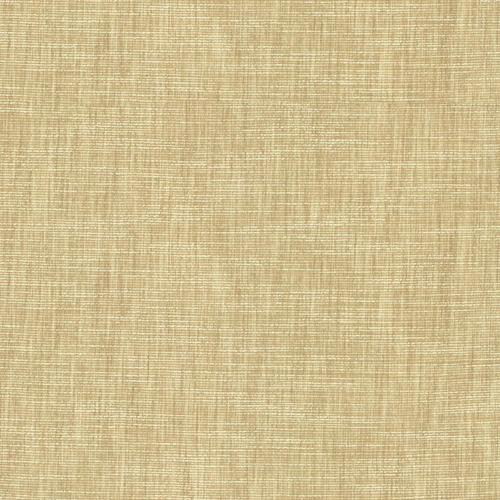 Beltran Bisque by Kasmir Fabric 5163 100% Polyester
 INDIA </p><p>Repeat: Horizontal: N/A and Vertical: N/A 54 - Fabric Carolina -