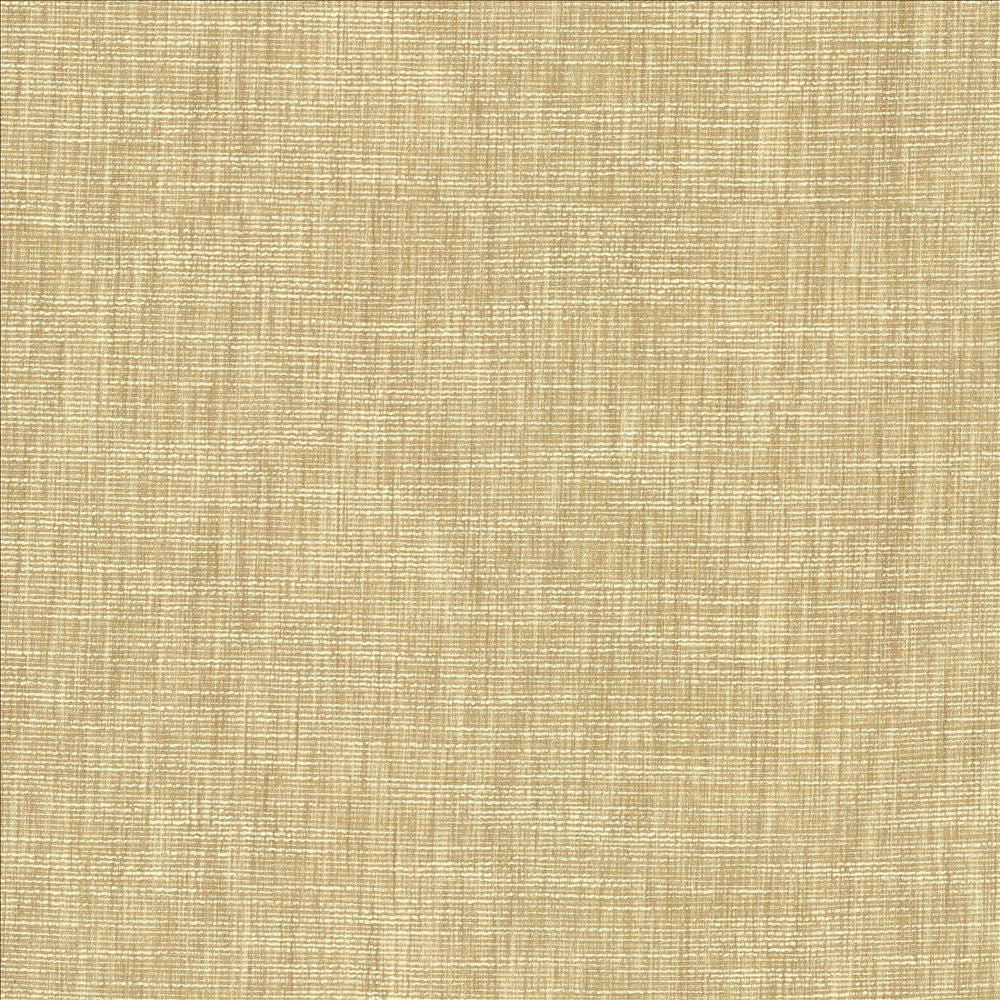 Beltran Bisque by Kasmir Fabric 5163 100% Polyester
 INDIA 20,000 Wyzenbeek Double Rubs </p><p>Repeat: Horizontal: N/A and Vertical: N/A 54 - Fabric Carolina -