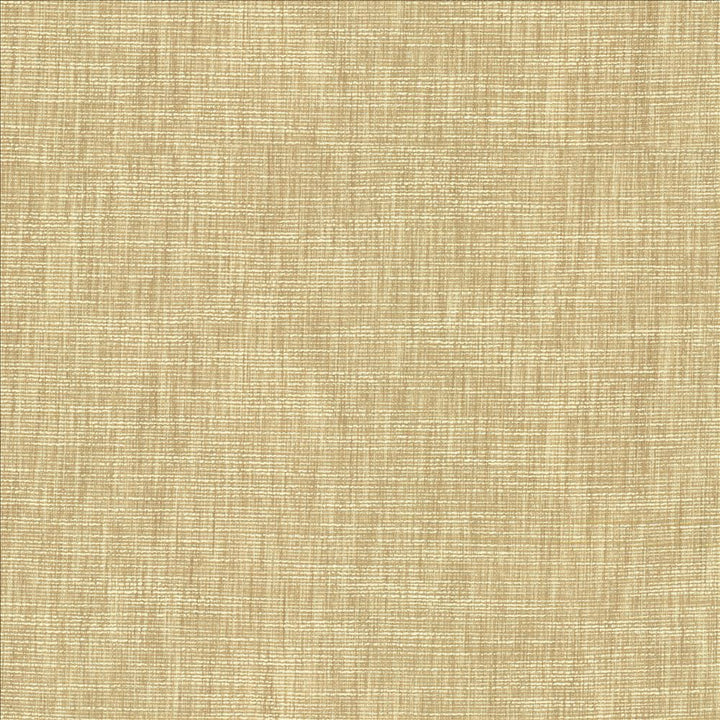 Beltran Bisque by Kasmir Fabric 5163 100% Polyester
 INDIA 20,000 Wyzenbeek Double Rubs </p><p>Repeat: Horizontal: N/A and Vertical: N/A 54 - Fabric Carolina -