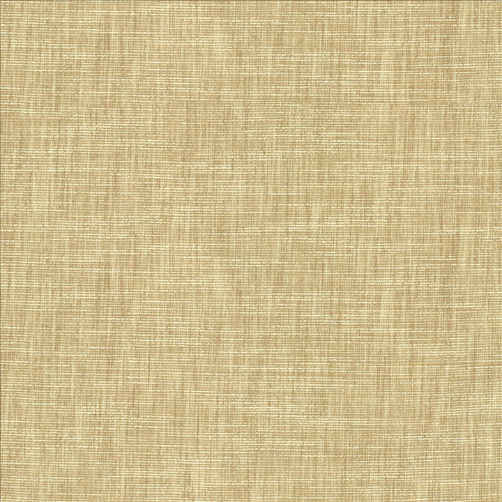 Beltran Bisque by Kasmir Fabric 5163 100% Polyester
 INDIA </p><p>Repeat: Horizontal: N/A and Vertical: N/A 54 - Fabric Carolina -