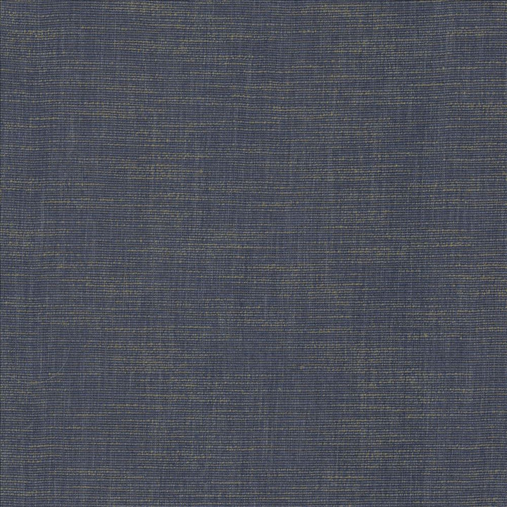 Beltran Blue Suede by Kasmir Fabric 5163 100% Polyester
 INDIA 20,000 Wyzenbeek Double Rubs </p><p>Repeat: Horizontal: N/A and Vertical: N/A 54 - Fabric Carolina -
