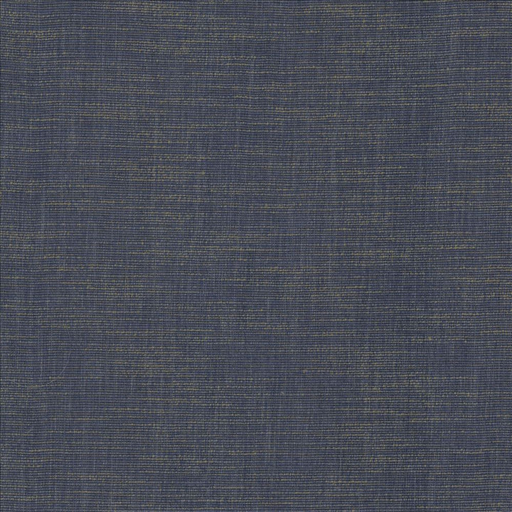 Beltran Blue Suede by Kasmir Fabric 5163 100% Polyester
 INDIA 20,000 Wyzenbeek Double Rubs Horizontal: N/A and Vertical: N/A 54 - Fabric Carolina -