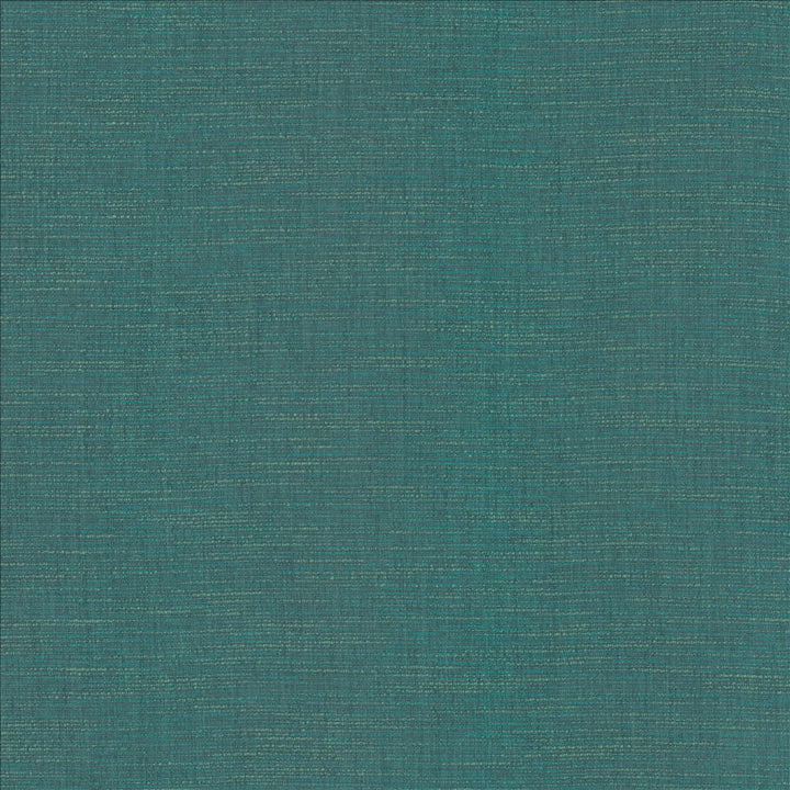Beltran Caspian Sea by Kasmir Fabric 5163 100% Polyester
 INDIA 20,000 Wyzenbeek Double Rubs Horizontal: N/A and Vertical: N/A 54 - Fabric Carolina -
