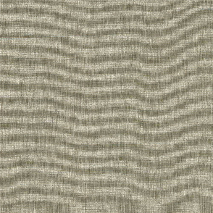 Beltran Elephant by Kasmir Fabric 5163 100% Polyester
 INDIA 20,000 Wyzenbeek Double Rubs </p><p>Repeat: Horizontal: N/A and Vertical: N/A 54 - Fabric Carolina -