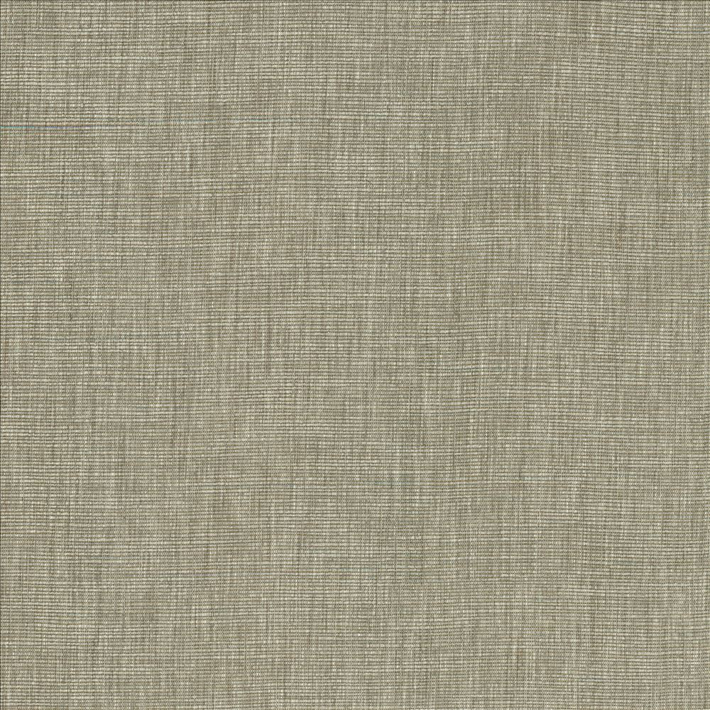 Beltran Elephant by Kasmir Fabric 5163 100% Polyester
 INDIA 20,000 Wyzenbeek Double Rubs </p><p>Repeat: Horizontal: N/A and Vertical: N/A 54 - Fabric Carolina -