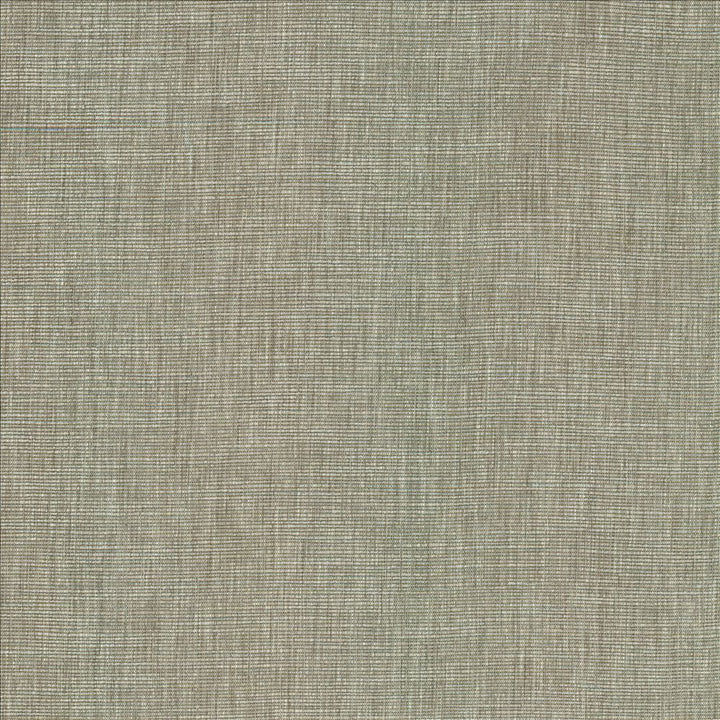 Beltran Elephant by Kasmir Fabric 5163 100% Polyester
 INDIA </p><p>Repeat: Horizontal: N/A and Vertical: N/A 54 - Fabric Carolina -