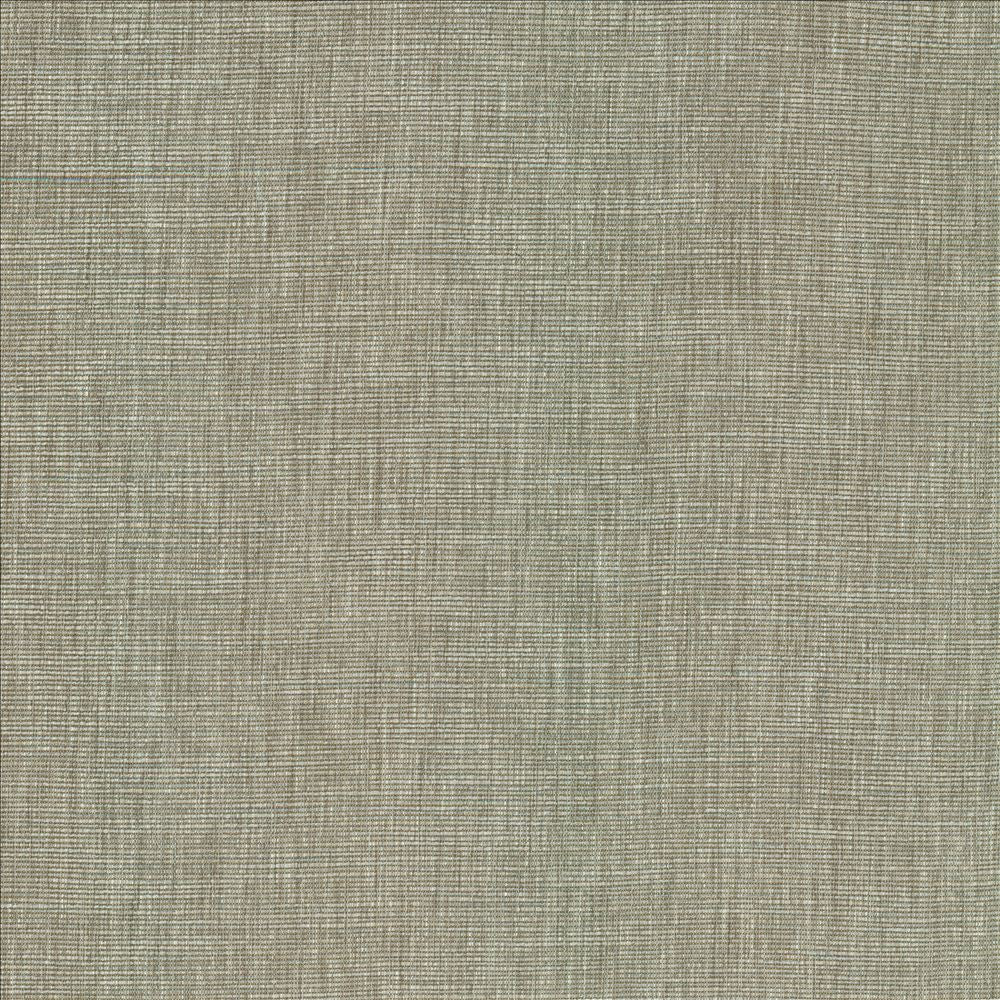 Beltran Elephant by Kasmir Fabric 5163 100% Polyester
 INDIA 20,000 Wyzenbeek Double Rubs Horizontal: N/A and Vertical: N/A 54 - Fabric Carolina -