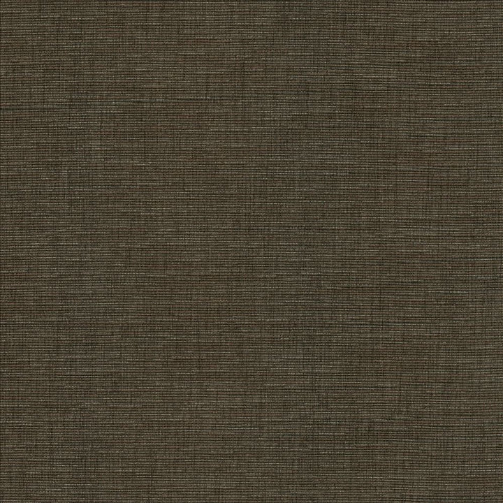 Beltran Falcon by Kasmir Fabric 5163 100% Polyester
 INDIA </p><p>Repeat: Horizontal: N/A and Vertical: N/A 54 - Fabric Carolina -