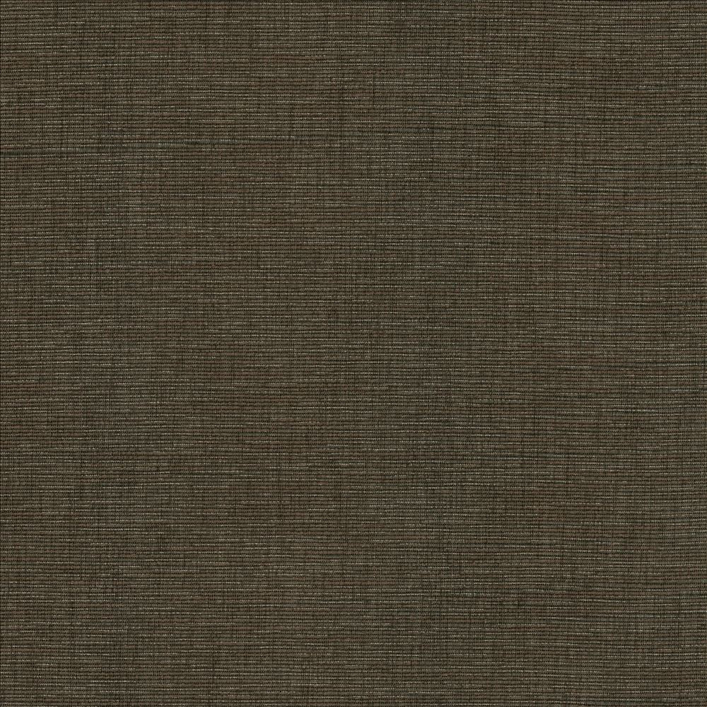 Beltran Falcon by Kasmir Fabric 5163 100% Polyester
 INDIA 20,000 Wyzenbeek Double Rubs Horizontal: N/A and Vertical: N/A 54 - Fabric Carolina -