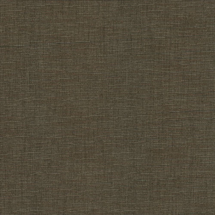 Beltran Falcon by Kasmir Fabric 5163 100% Polyester
 INDIA 20,000 Wyzenbeek Double Rubs </p><p>Repeat: Horizontal: N/A and Vertical: N/A 54 - Fabric Carolina -