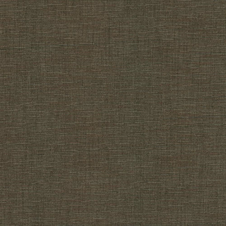 Beltran Falcon by Kasmir Fabric 5163 100% Polyester
 INDIA </p><p>Repeat: Horizontal: N/A and Vertical: N/A 54 - Fabric Carolina -