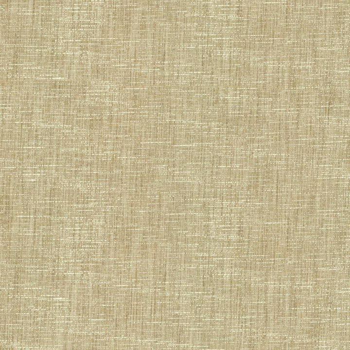 Beltran Fawn by Kasmir Fabric 5163 100% Polyester
 INDIA </p><p>Repeat: Horizontal: N/A and Vertical: N/A 54 - Fabric Carolina -