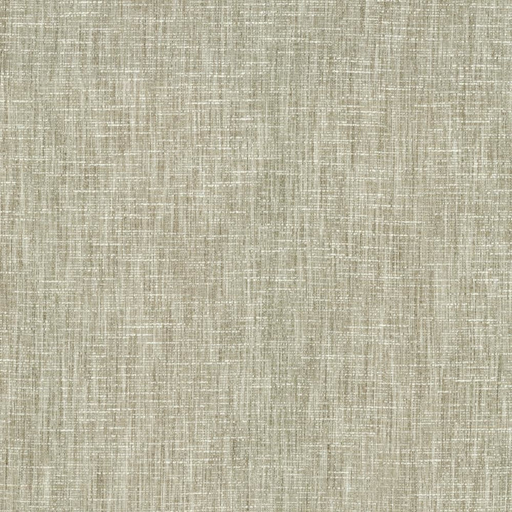 Beltran French Gray by Kasmir Fabric 5163 100% Polyester
 INDIA </p><p>Repeat: Horizontal: N/A and Vertical: N/A 54 - Fabric Carolina -