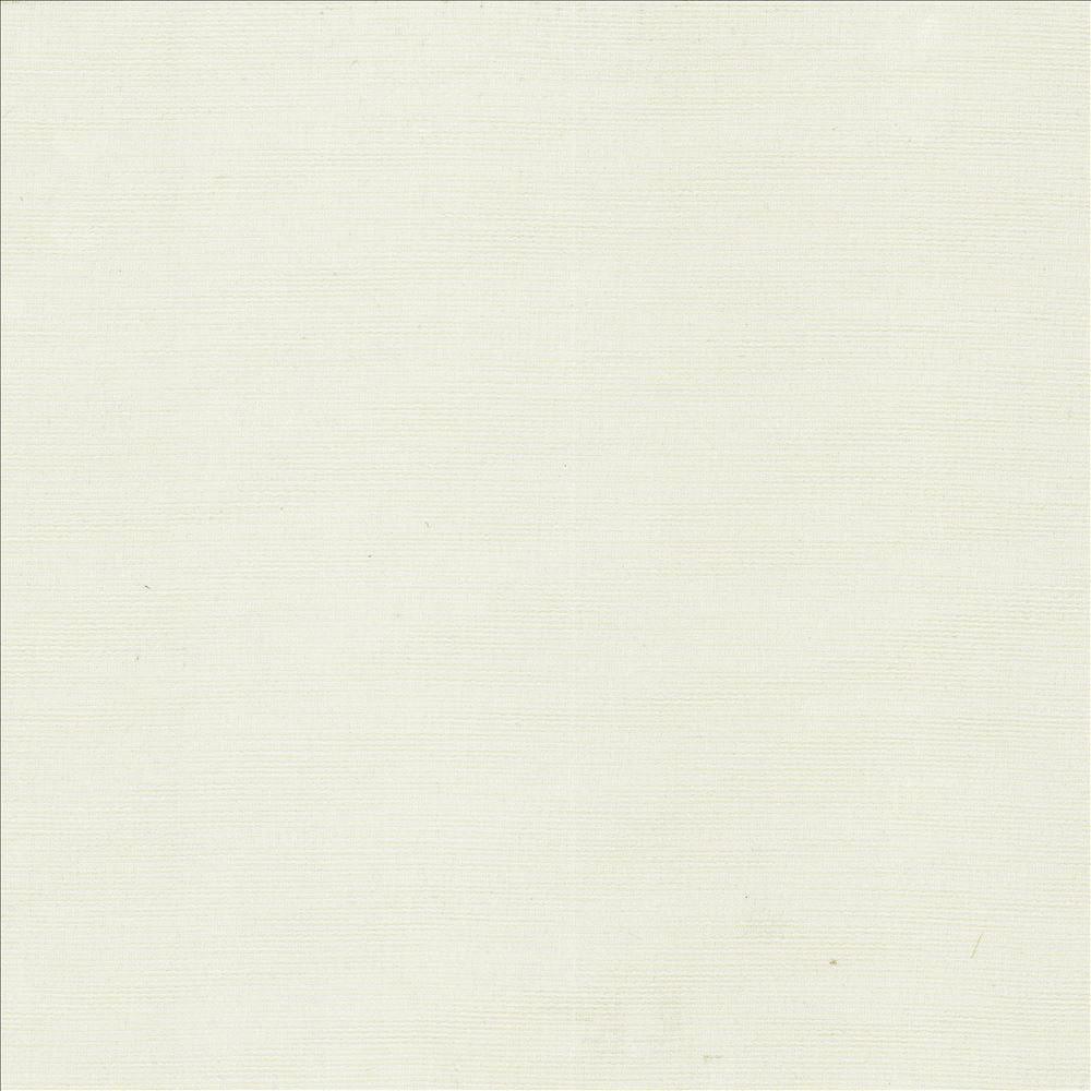 Beltran Frost by Kasmir Fabric 5163 100% Polyester
 INDIA 20,000 Wyzenbeek Double Rubs Horizontal: N/A and Vertical: N/A 54 - Fabric Carolina -