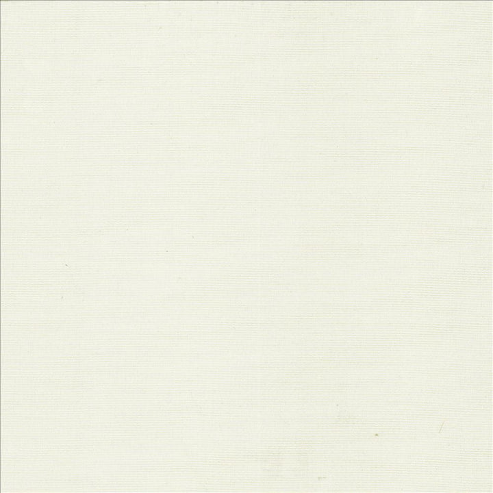 Beltran Frost by Kasmir Fabric 5163 100% Polyester
 INDIA 20,000 Wyzenbeek Double Rubs </p><p>Repeat: Horizontal: N/A and Vertical: N/A 54 - Fabric Carolina -